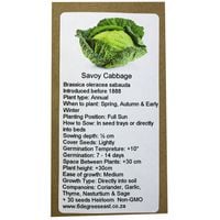 6 Degrees East Heirloom Veg Seeds - Cabbage - Savoy